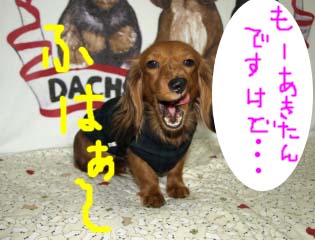 なつみ4のコピー.jpg